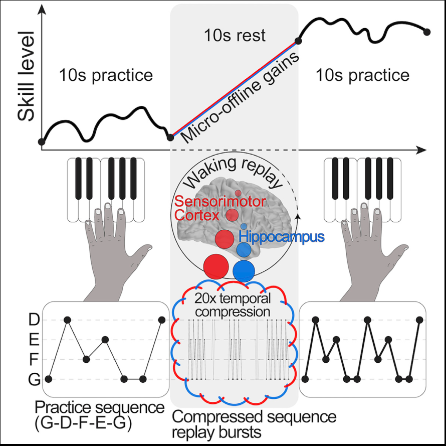 Figure 1: Graphical abstract