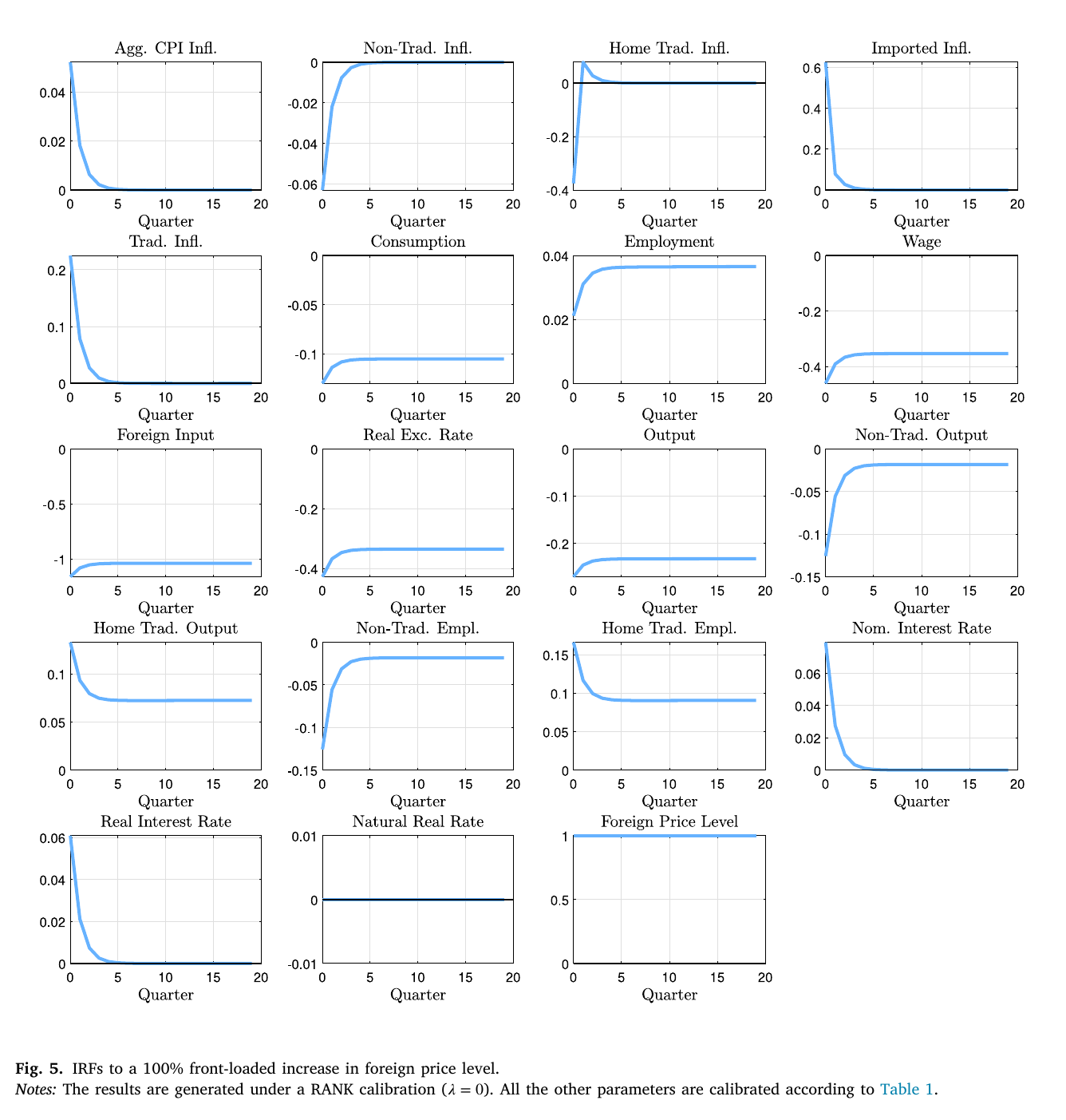 Impulse responses to a front-loaded permanent rise in import prices under the RANK calibration